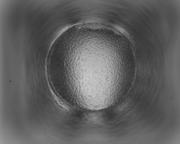 X0000062801047200512290243