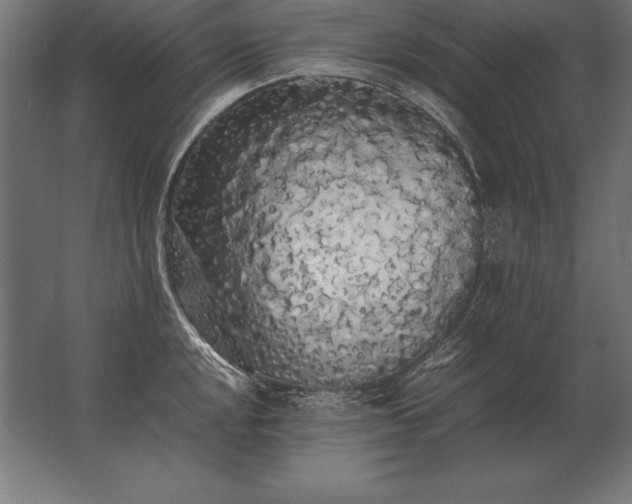 X0000062801048200512290243