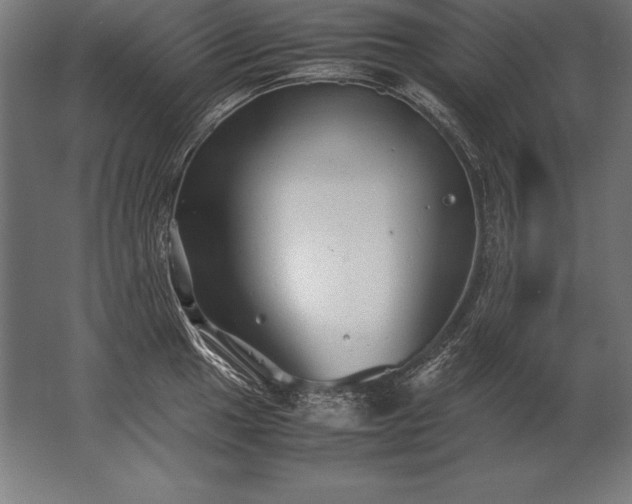 X0000062801049200512290243