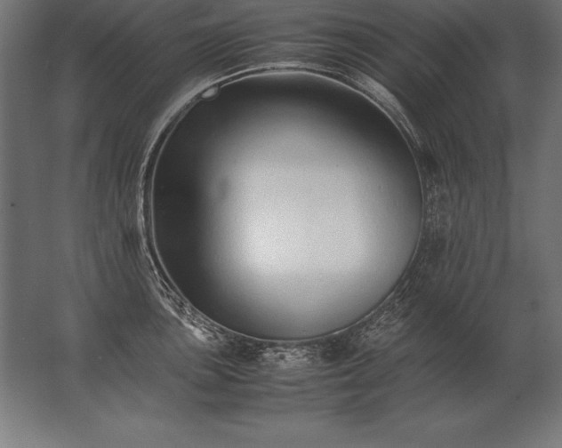 X0000062801051200512290243