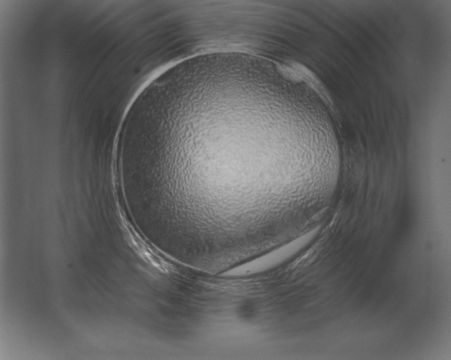X0000062801052200512290243