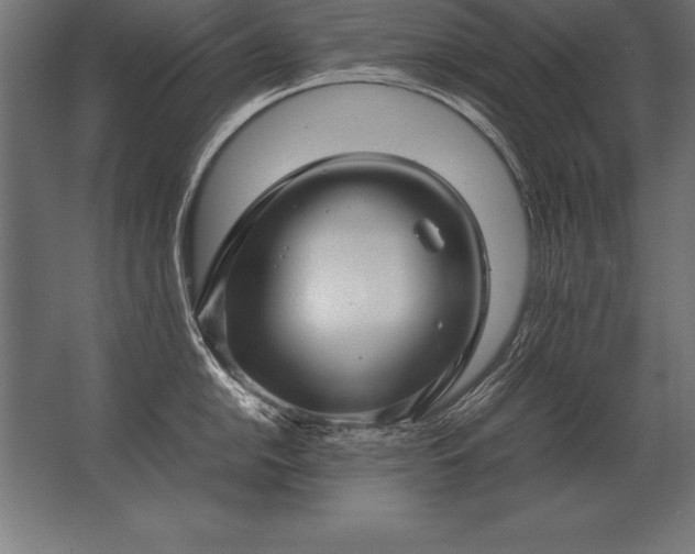 X0000062801054200512290243