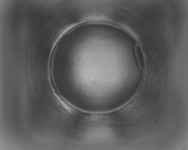 X0000062801056200512290243