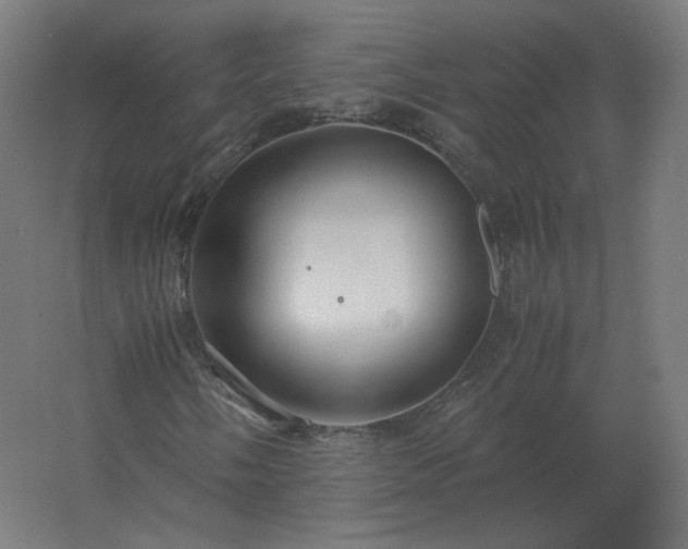 X0000062801058200512290243