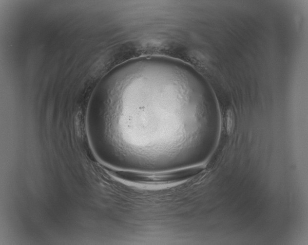 X0000062801059200512290243