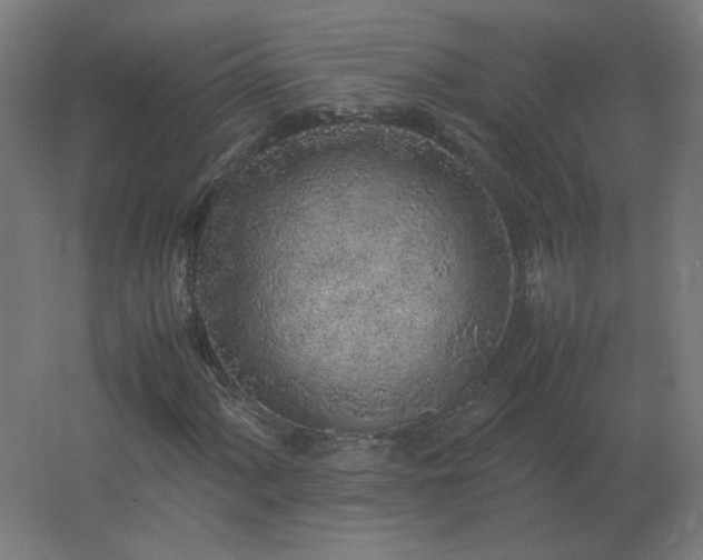 X0000062801060200512290243