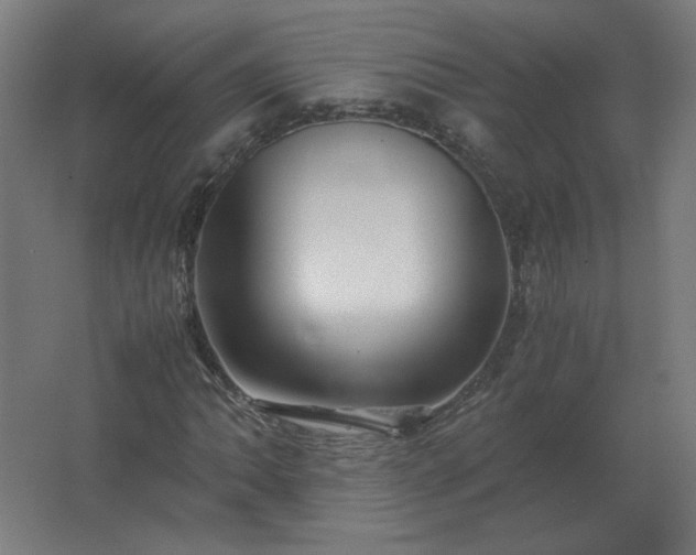 X0000062801062200512290243