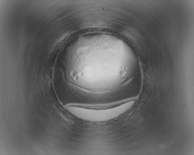 X0000062801064200512290243