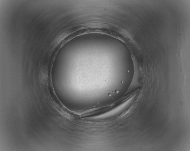 X0000062801065200512290243