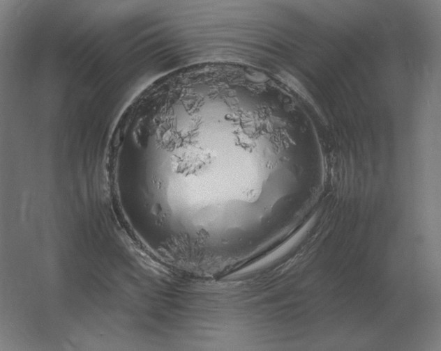X0000062801068200512290242