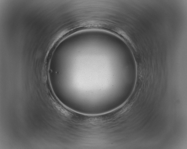 X0000062801075200512290242