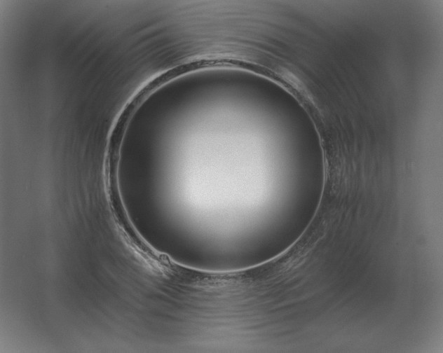 X0000062801076200512290242