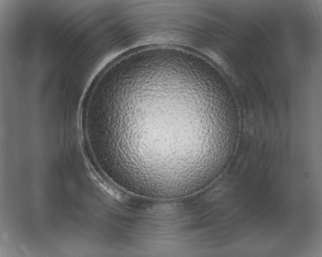 X0000062801078200512290242
