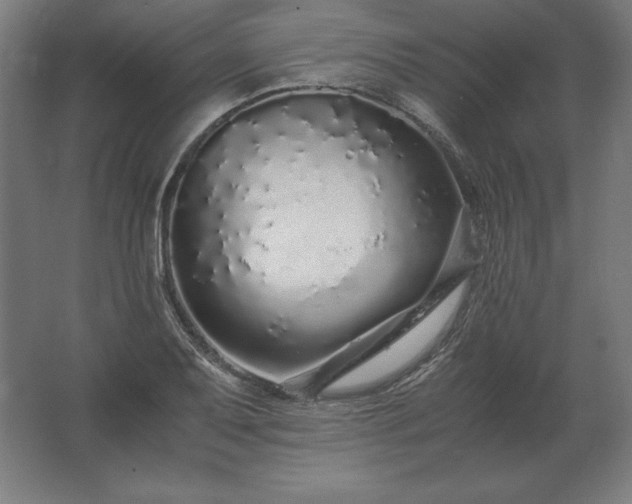 X0000062801079200512290242