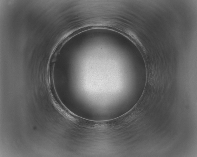 X0000062801080200512290242