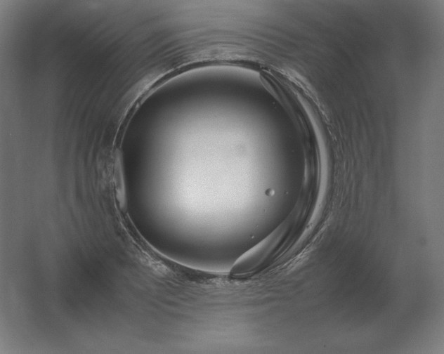 X0000062801081200512290242