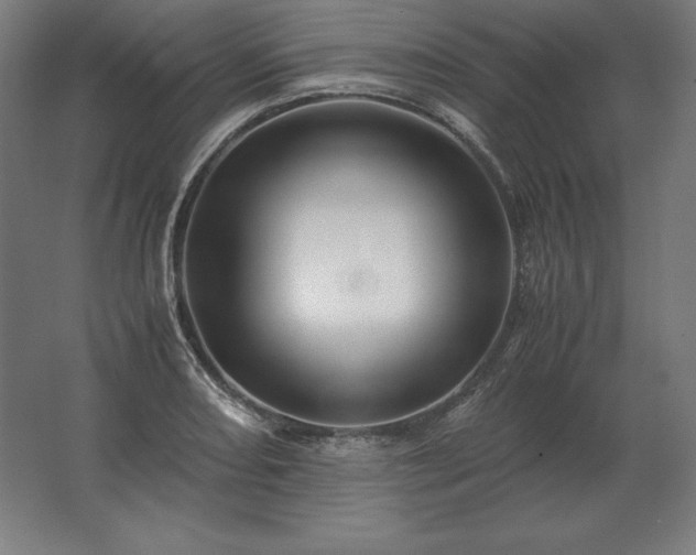 X0000062801082200512290242