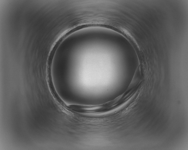 X0000062801085200512290242