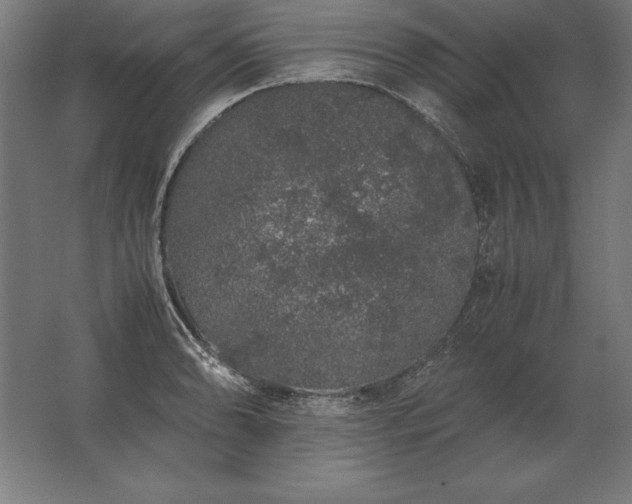 X0000062801086200512290242