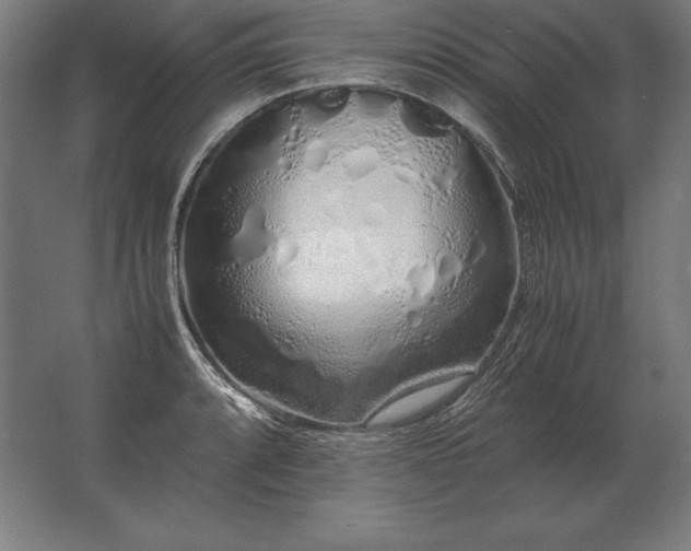 X0000062801088200512290242