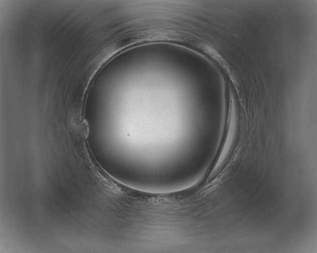 X0000062801089200512290242