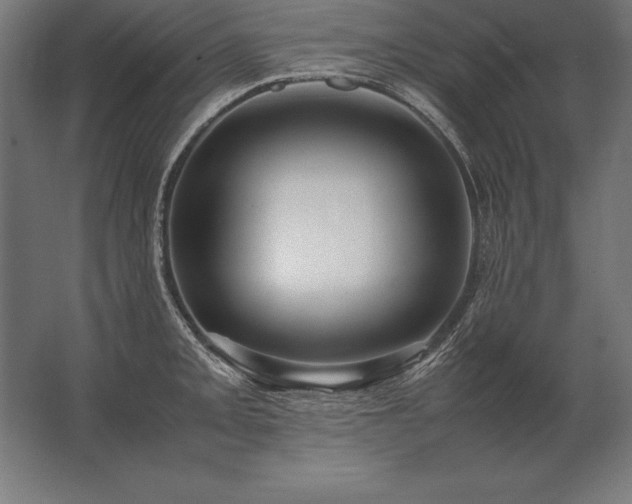 X0000062801093200512290242