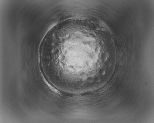 X0000062801095200512290242