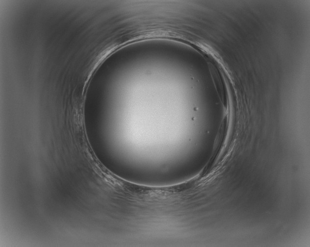 X0000062801097200512290242