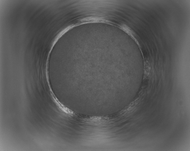 X0000062801098200512290242