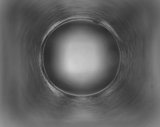 X0000062801101200512290242