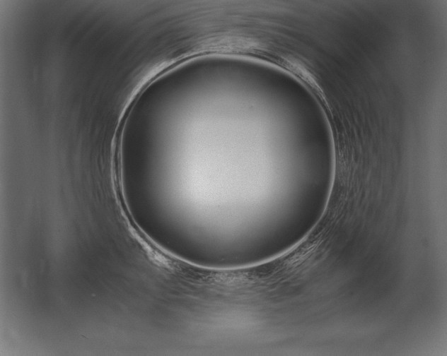X0000062801103200512290242