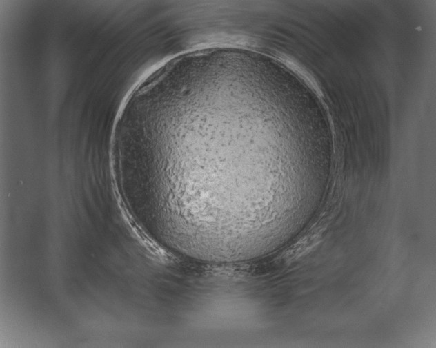 X0000062801104200512290242