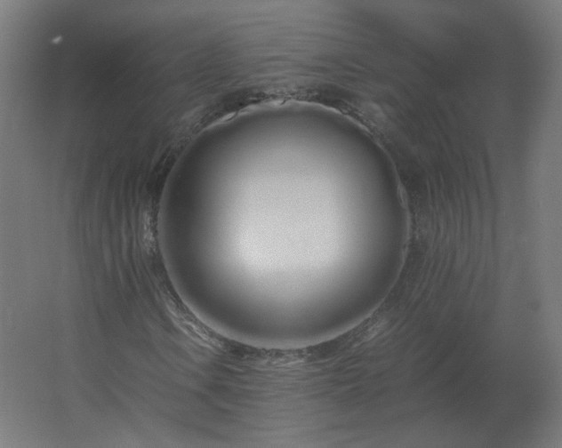 X0000062801106200512290241