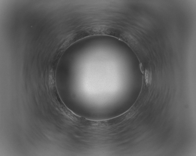 X0000062801107200512290241