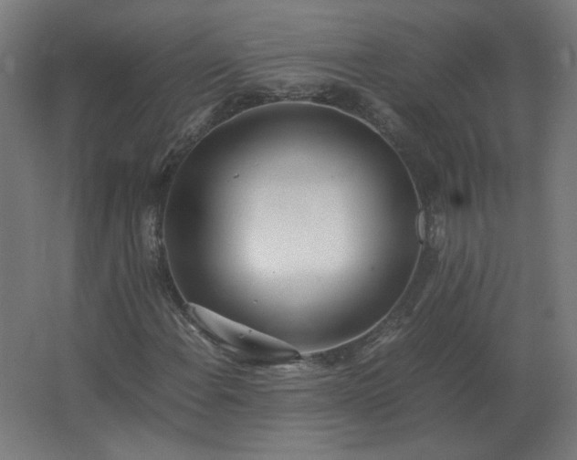 X0000062801108200512290241