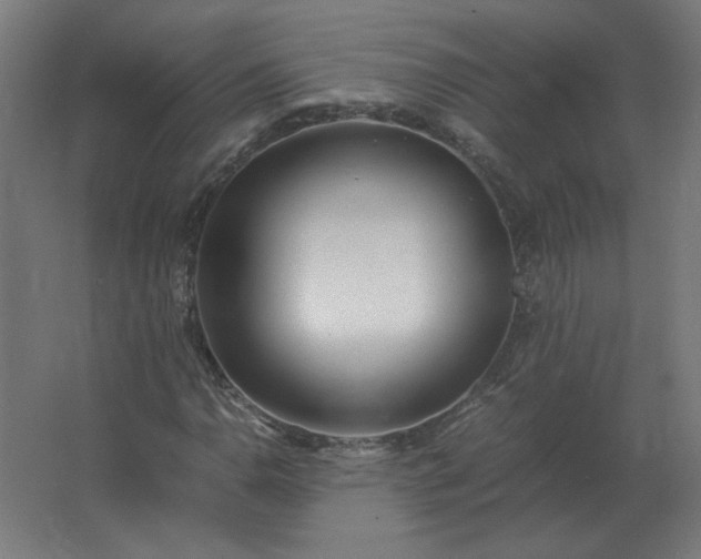 X0000062801110200512290241