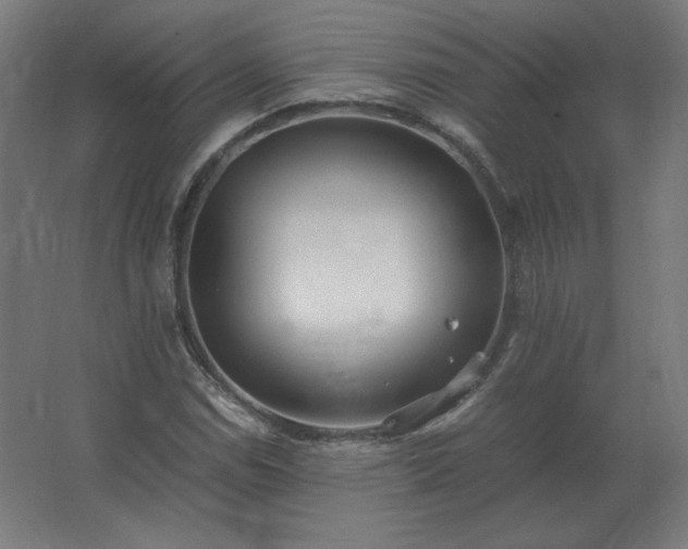 X0000062801114200512290241