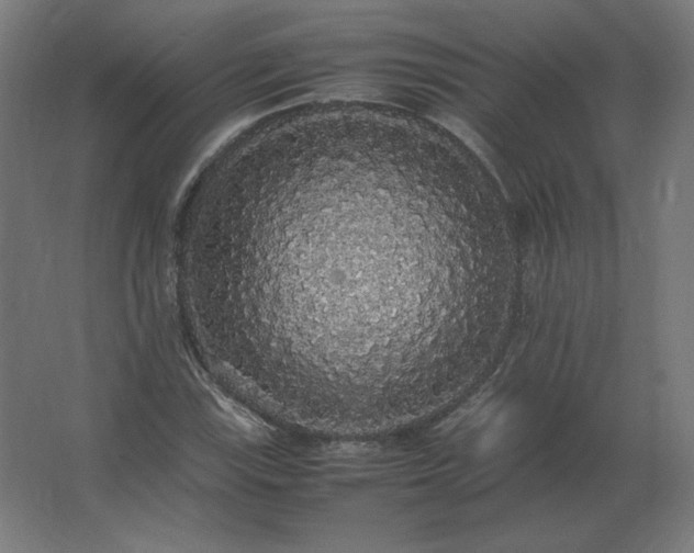X0000062801115200512290241