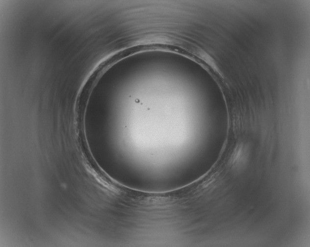 X0000062801116200512290241
