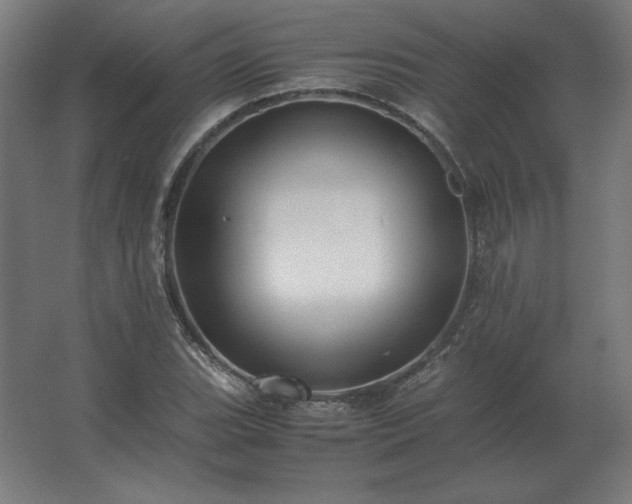 X0000062801119200512290241