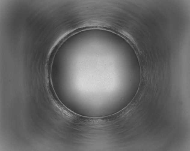 X0000062801120200512290241