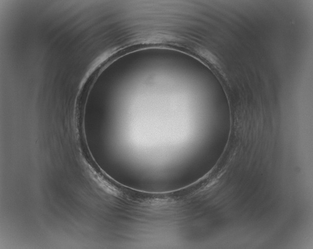 X0000062801122200512290241