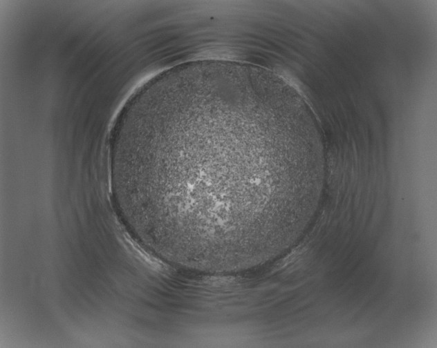 X0000062801123200512290241