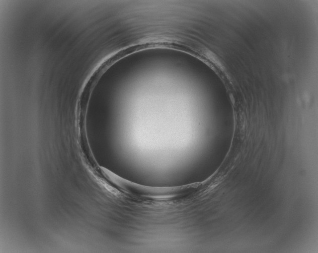 X0000062801124200512290241