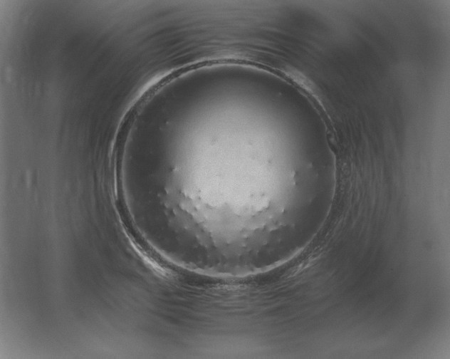 X0000062801127200512290241