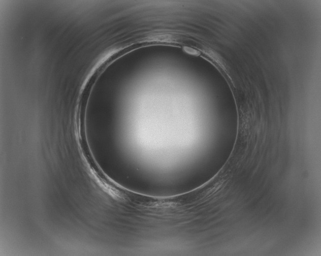X0000062801131200512290241