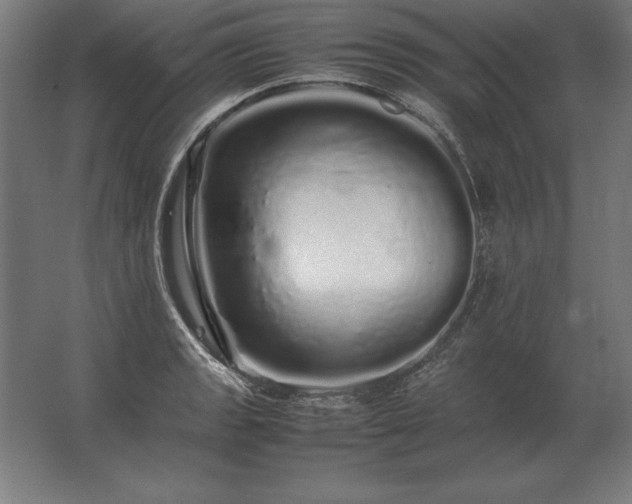 X0000062801133200512290242