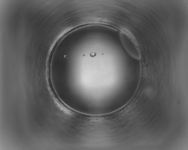 X0000062801136200512290242