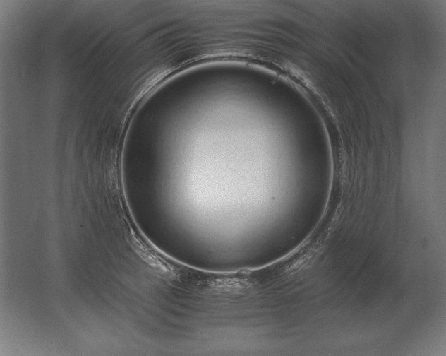 X0000062801137200512290242