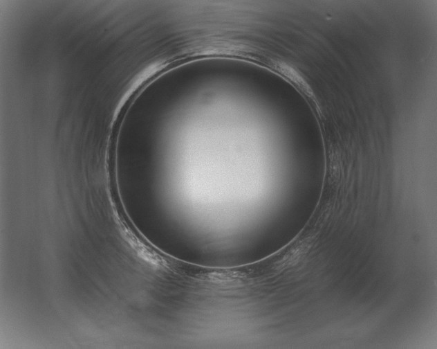 X0000062801138200512290242